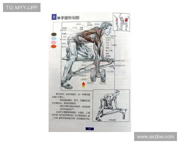 锻炼腰背肌的健身器材：哪些设备可以有效增强腰背部的力量？